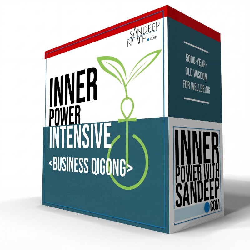 Qigong for Executives: The External Elixir